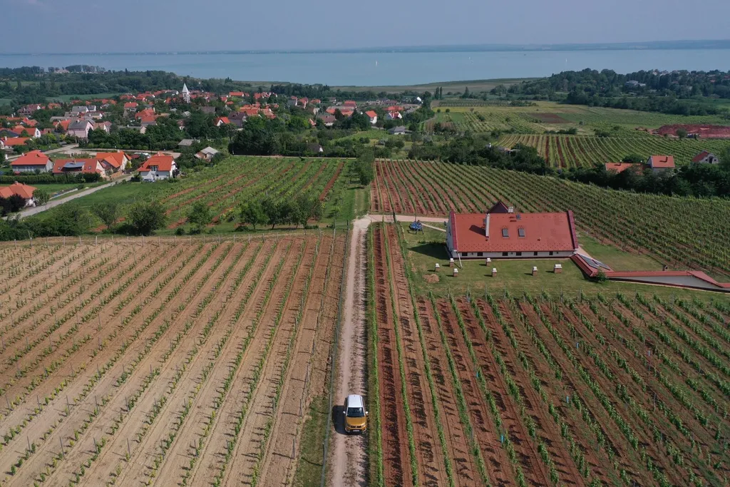 Forrás:Travelo / Szabó Gábor