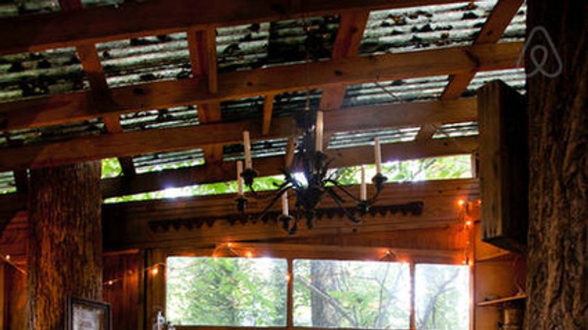 Fákra épült hotel