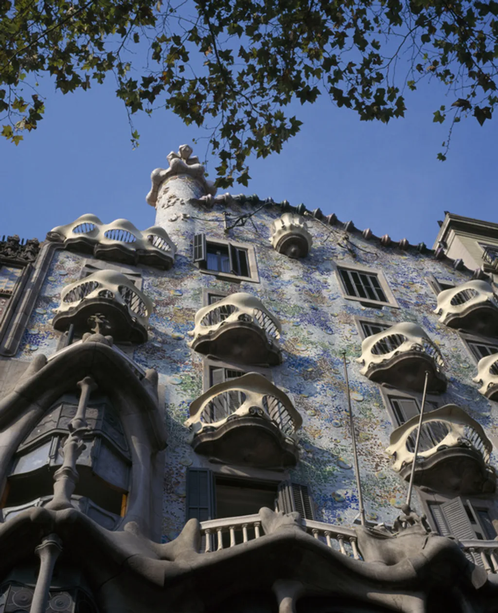 Eye Ubiquitous / Europress / Getty 
