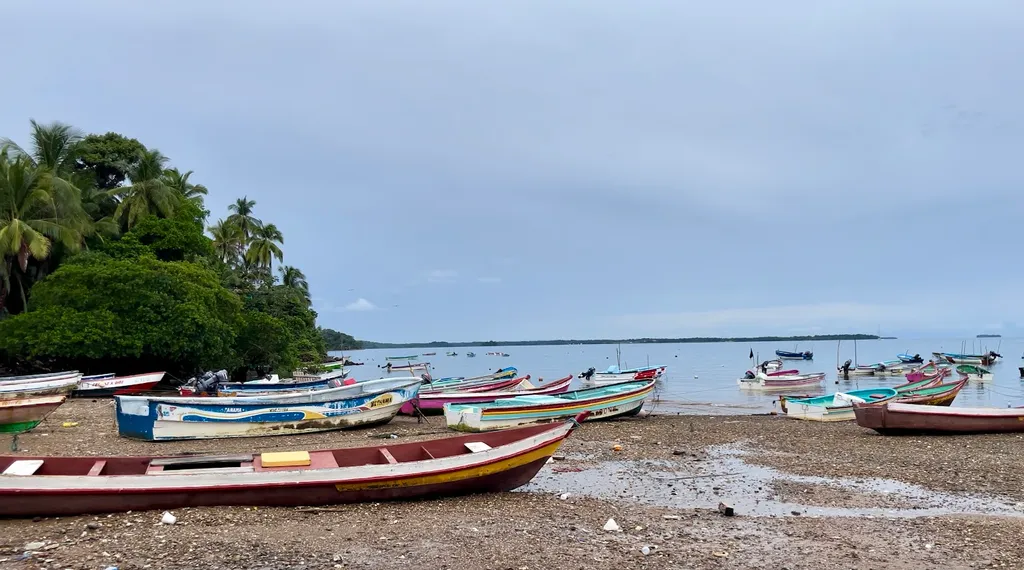 Forrás: Sailing Teatime