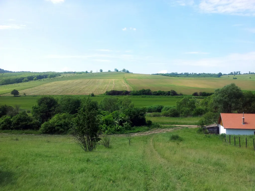 Forrás: Travelo 