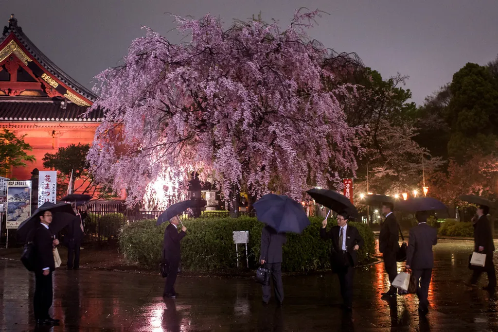 Fotó: Chris Mcgrath / Europress / Getty 