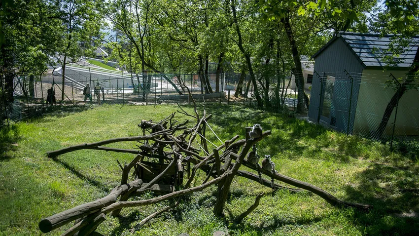 Május 20-án nyit a pécsi állatkert