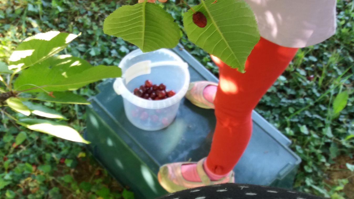 Szülés után hagyjon mindenki békén!