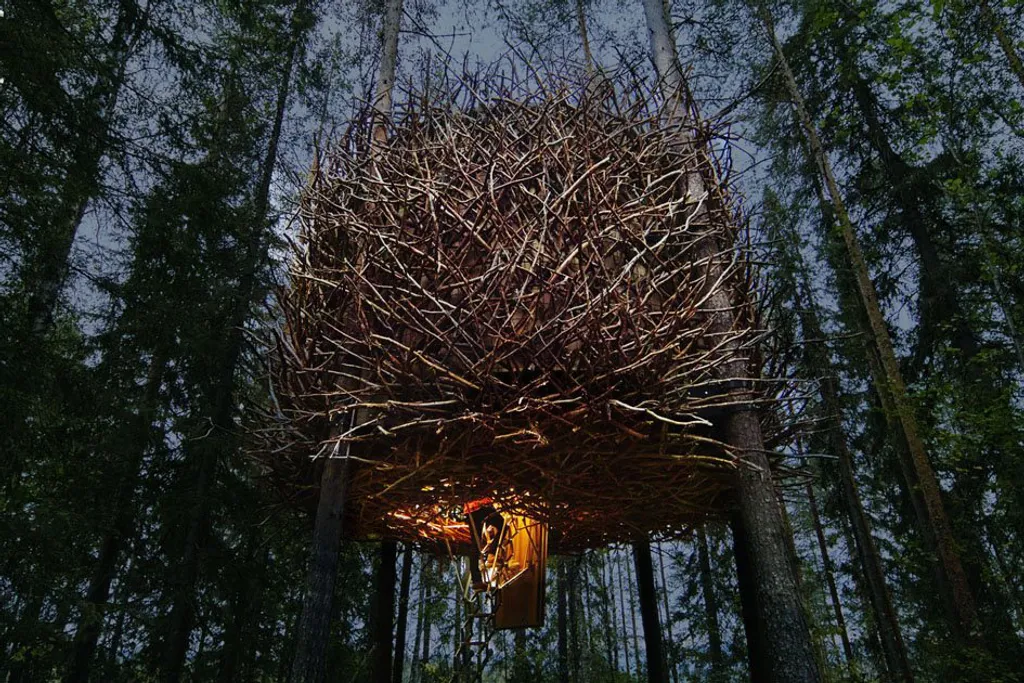 Fotó: Treehouse 
