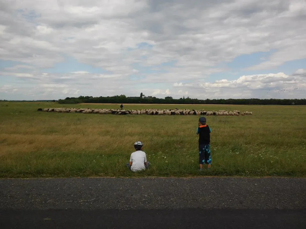 Fotó: Fertő-Hanság Nemzeti Park 
