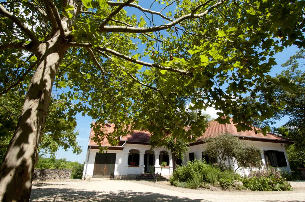 Fotó: somogykertje.hu 