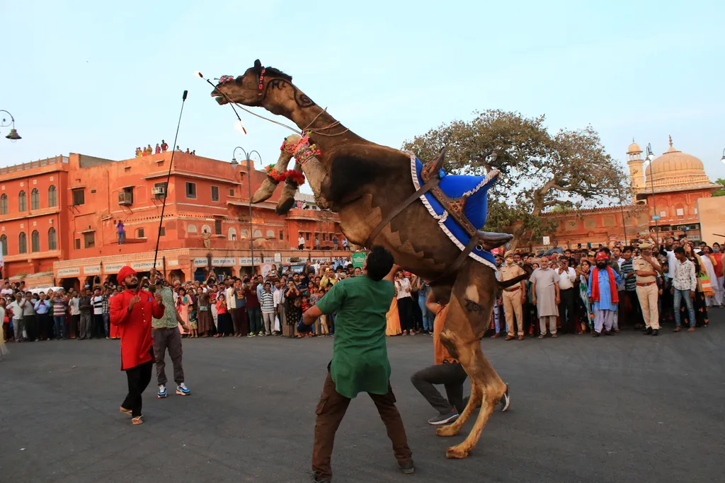 Forrás: NurPhoto via AFP/Vishal Bhatnagar/NurPhoto/Vishal Bhatnagar