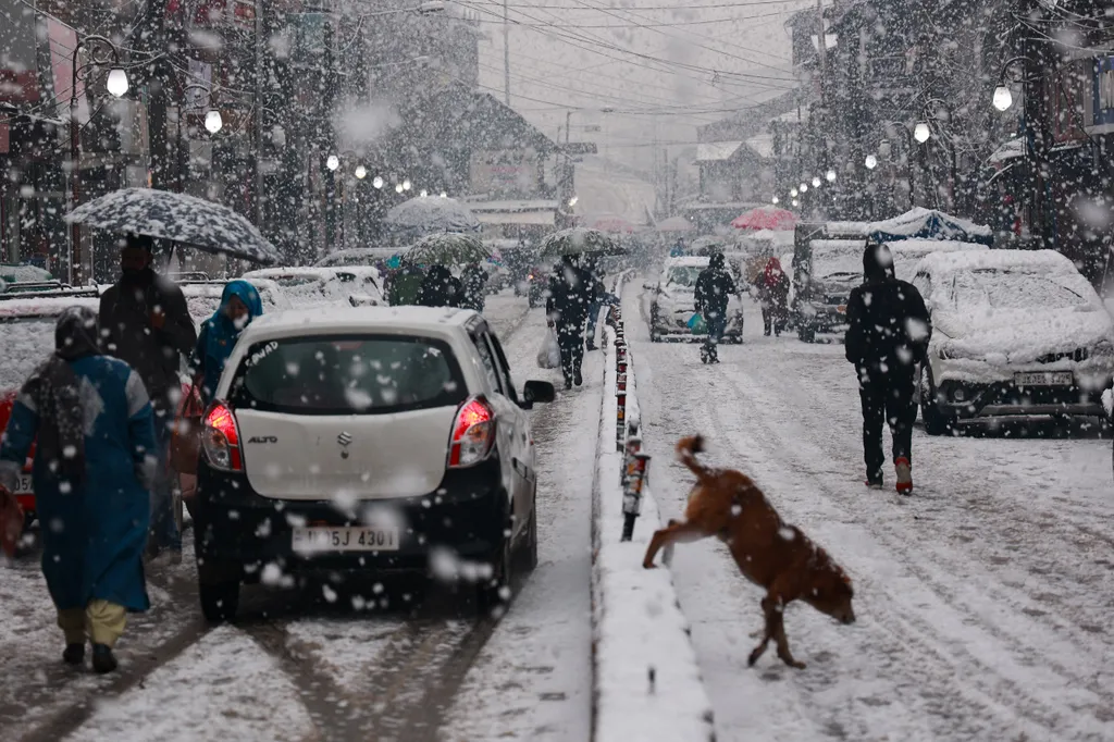 Forrás: NurPhoto via AFP/Nasir Kachroo/NurPhoto/Nasir Kachroo