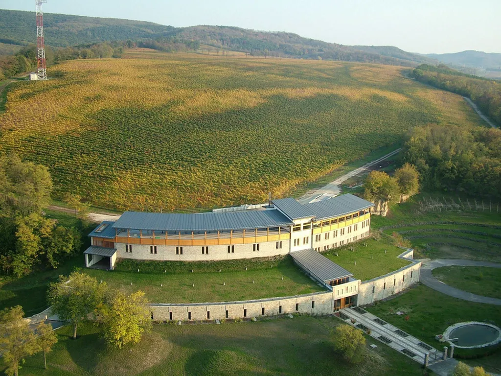 Fotó: IKON Borászat 