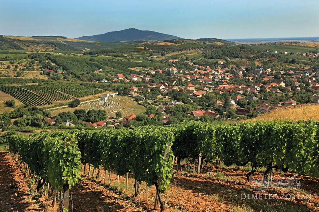 Fotó: Demeter Zoltán / TTHE Tokaj 