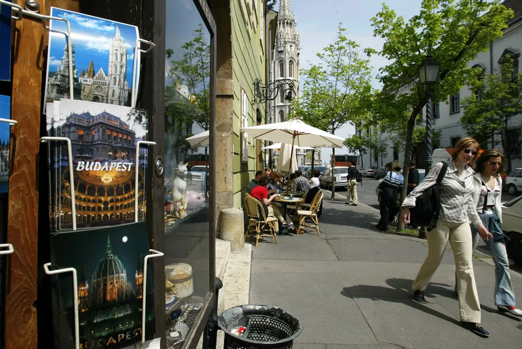 Fotó: Mark H. Milstein / Northfoto 