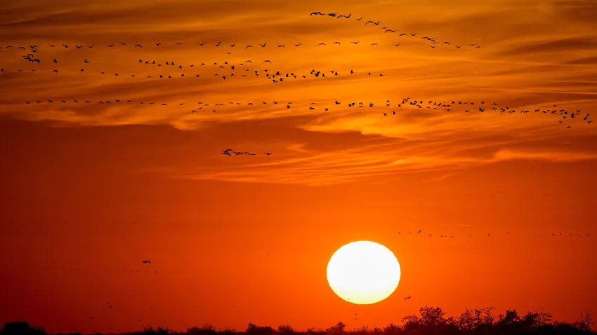 Képekben az elmúlt 24 óra - október 19.