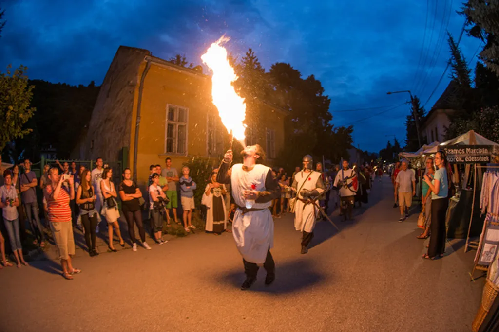 Fotó: Andor Schober / Visegrádi Nemzetközi Palotajátékok 