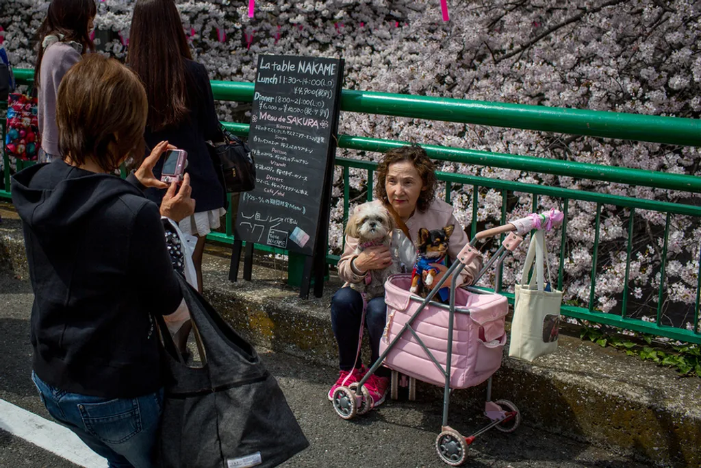 Chris Mcgrath / Europress / Getty 