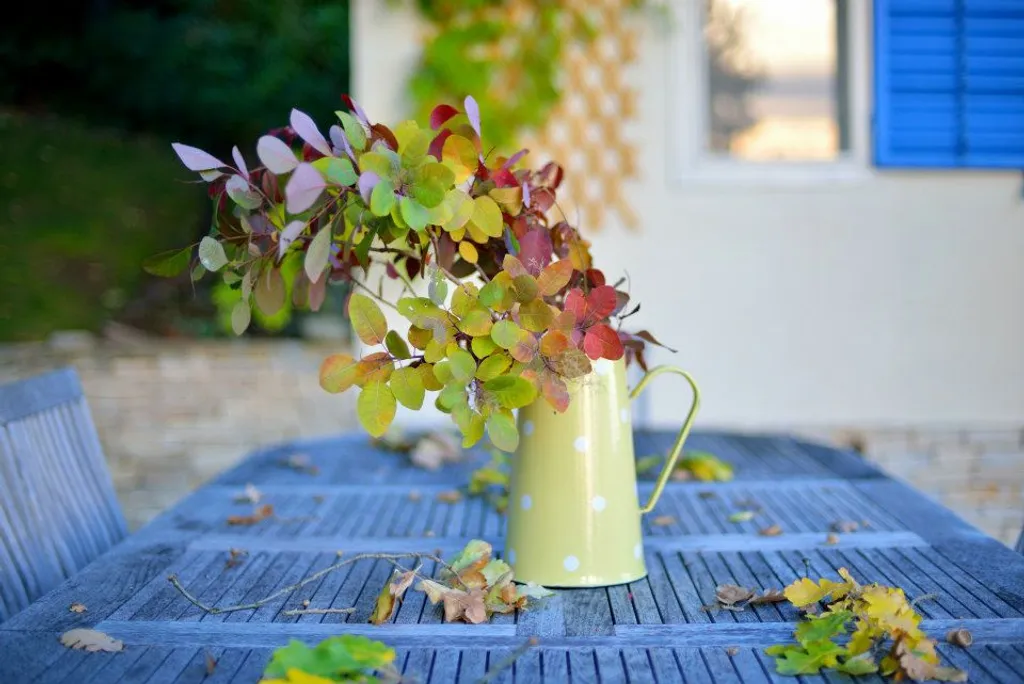 Fotó: Catherine's Wineyard Cottages / Travelo 