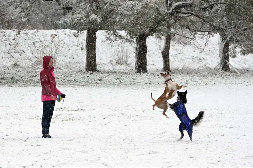 Forrás: AFP/Yuriy Dyachyshyn
