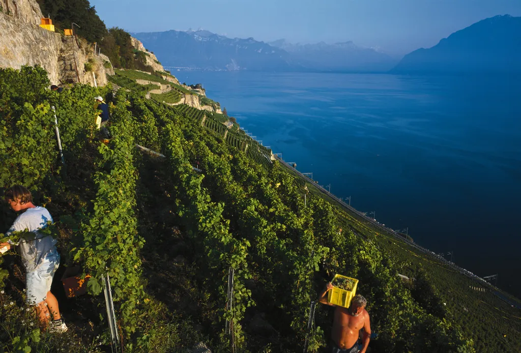 Stephan Engler / Swiss Image 