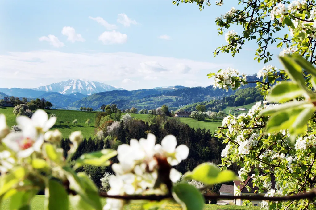 Fotó: Franz Weingartner / www.weinfranz.at 