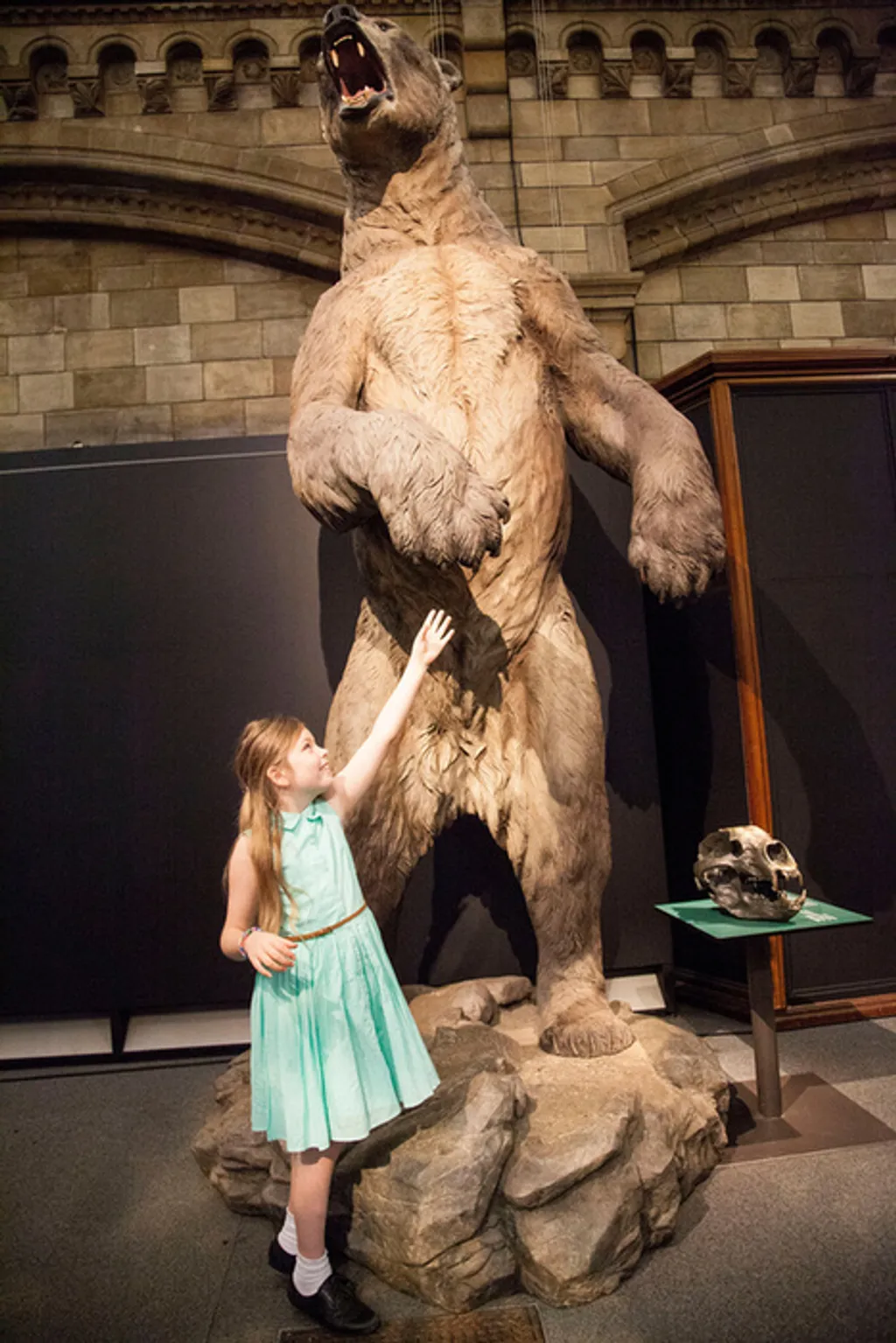 Fotó: Kevin Webb/nhm Image Resources / Natural History Museum 