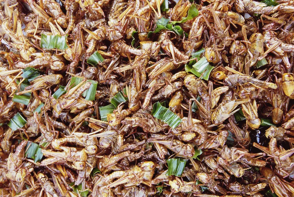 Fotó: Eric-Paul-Pierre Pasquier / Europress / Getty 