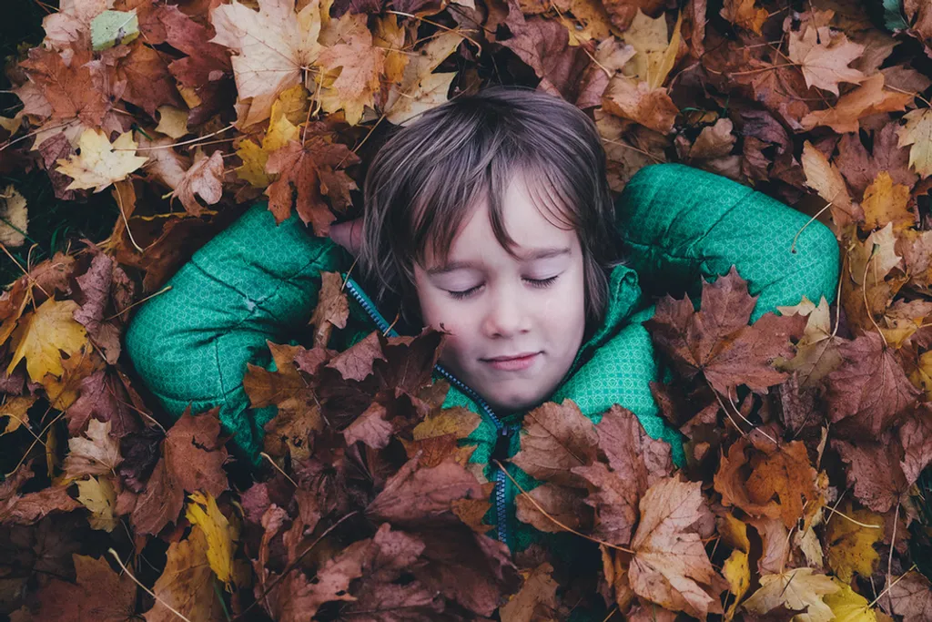 Fotó: Annie Spratt / Unsplash 