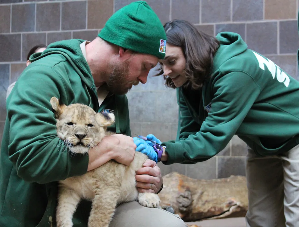 Fotó: Omaha's Henry Doorly Zoo and Aquarium 