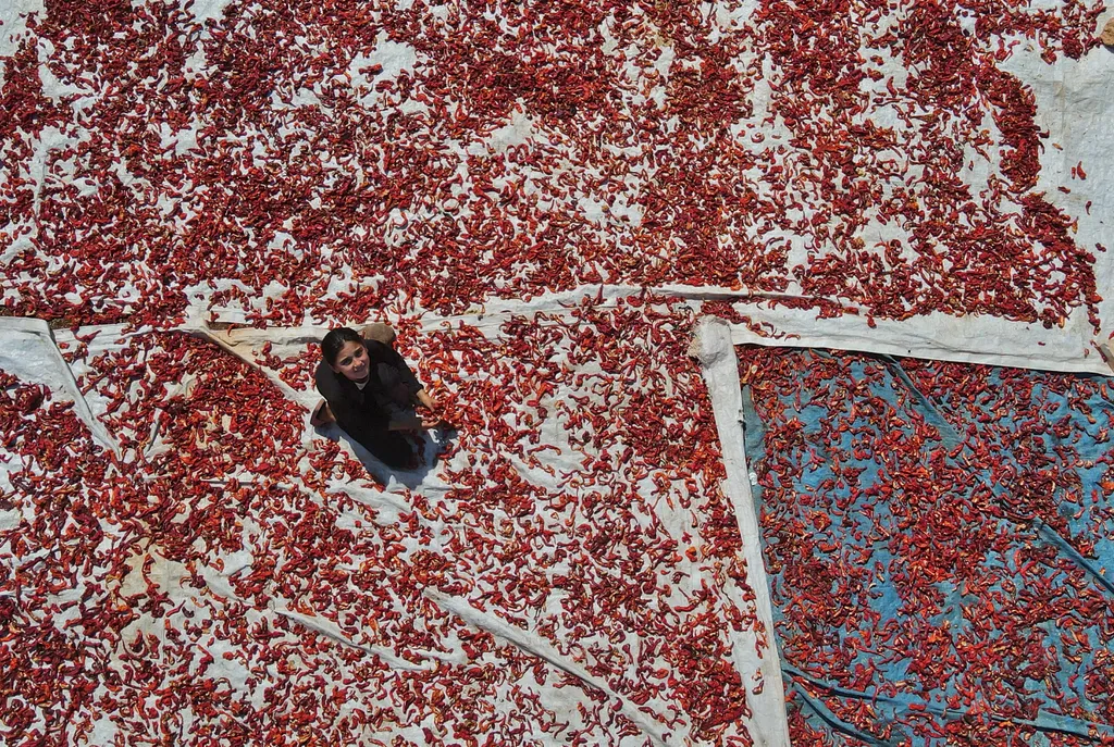 Forrás: AFP/Aaref Watad