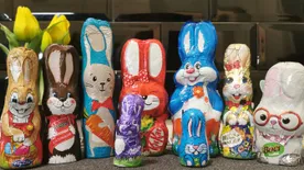 Adtál a gyereknek csokinyuszit húsvétra? Ezt teszi a testével