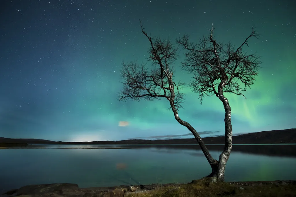 Fotó: Tommy Eliassen / Barcroft Media / Northfoto 