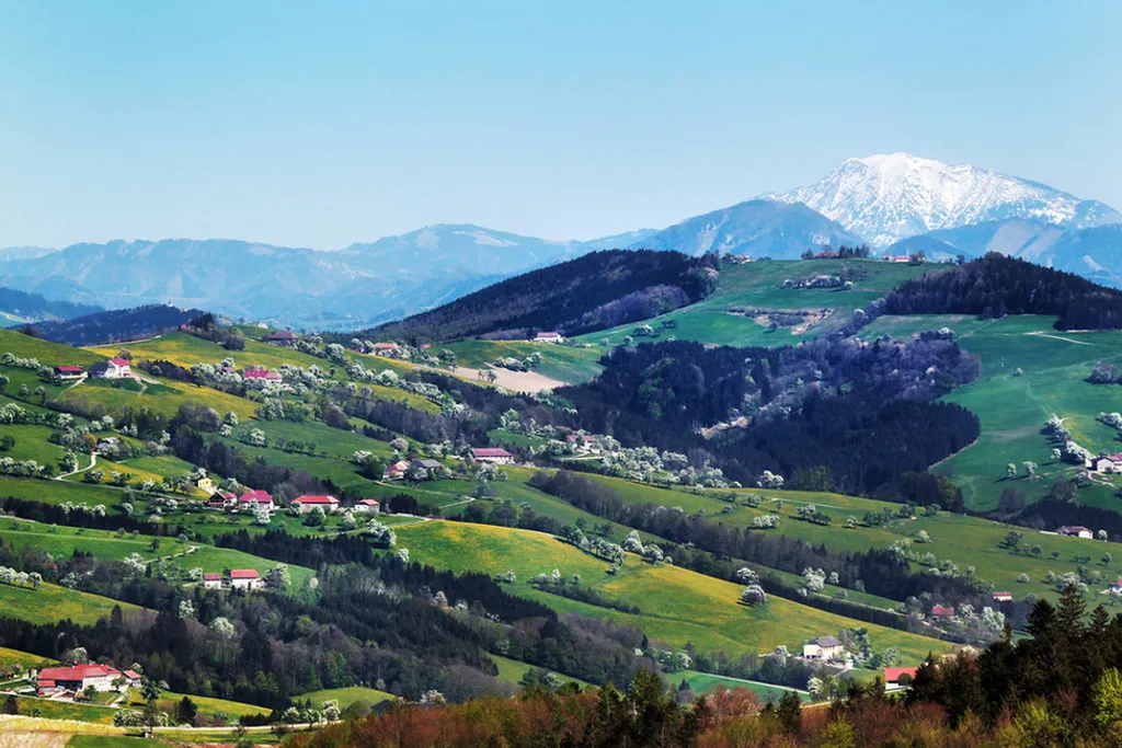 Fotó: Franz Weingartner / www.weinfranz.at 