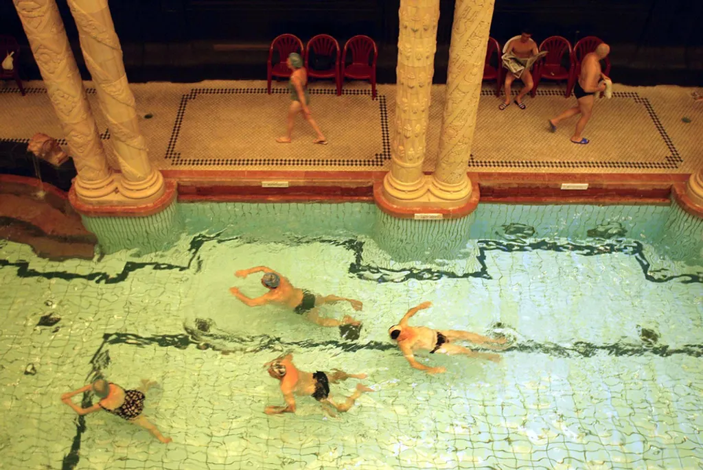 Fotó: Mark H. Milstein/northfoto / Northfoto 