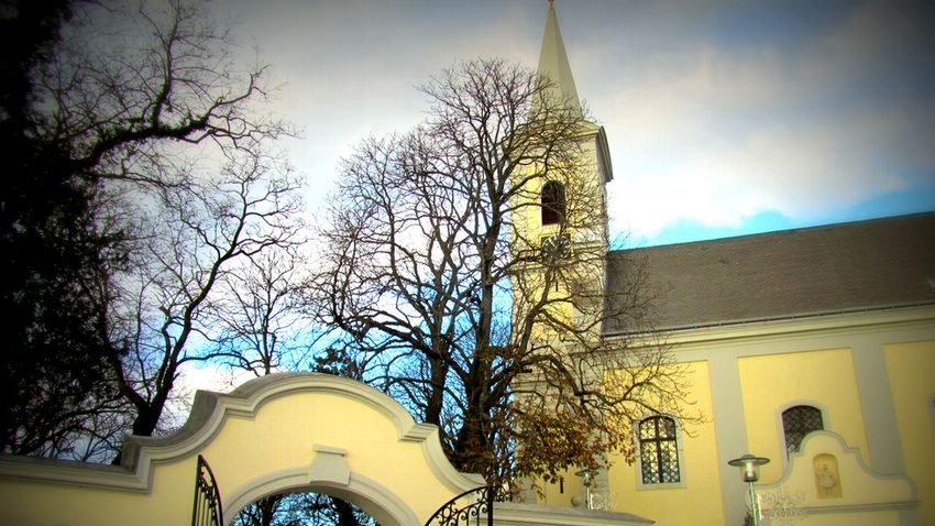 Telelés a Fertő-tónál