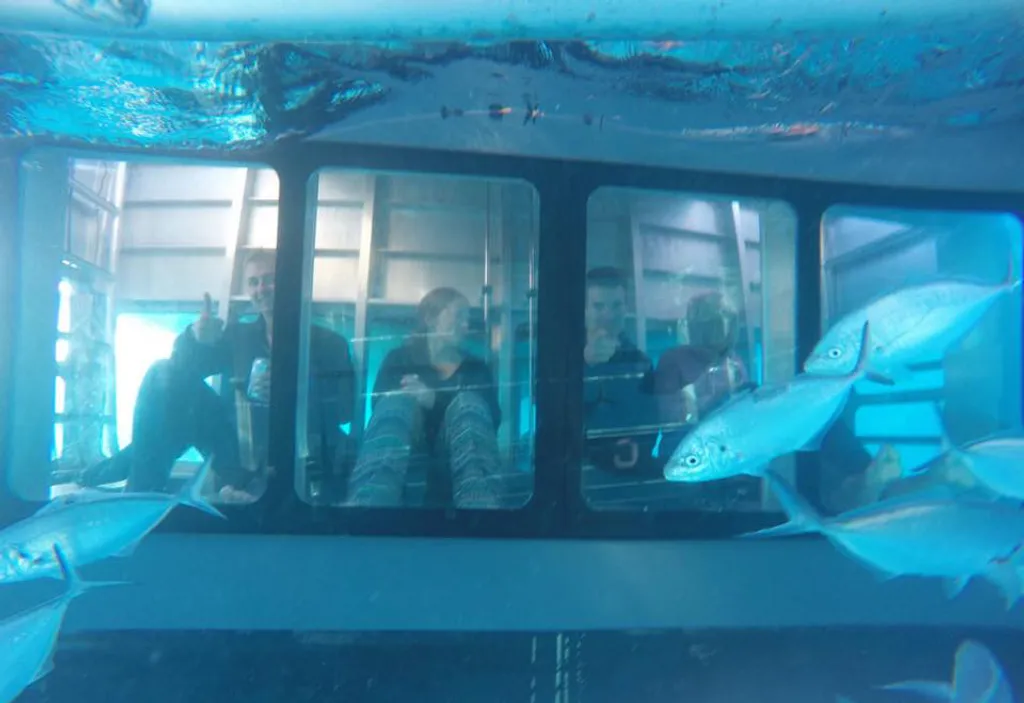 Fotó: Adventure Bay Charters 