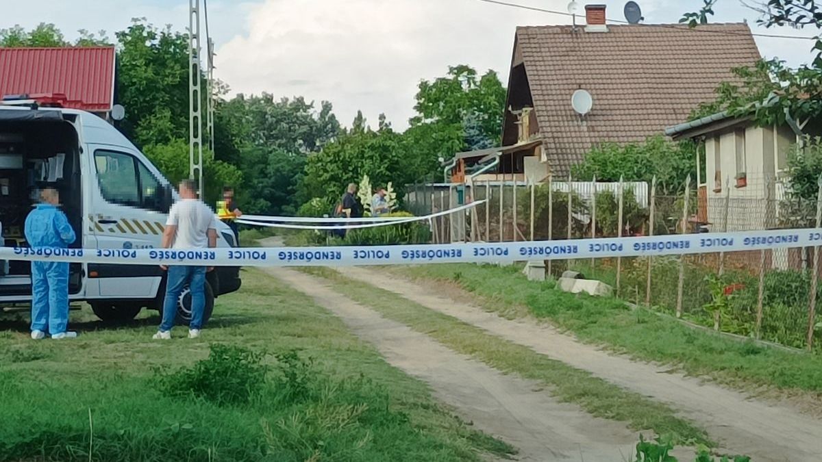 120-szor ütött a vascsővel - soha ne szabaduljon az albertirsai családirtó