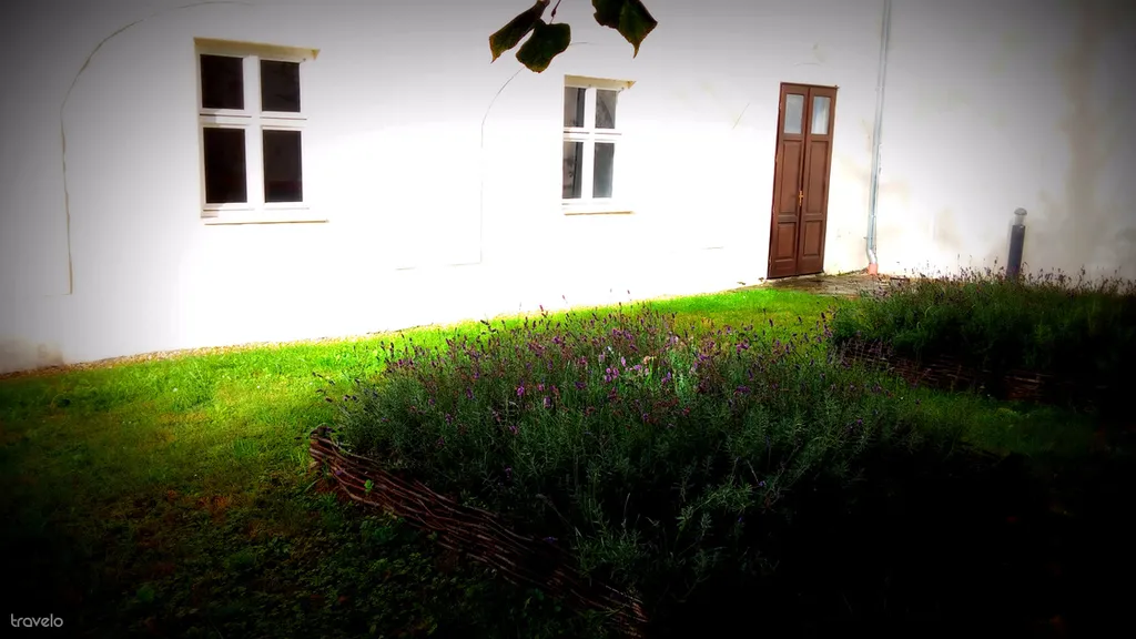 Fotó: mimi 