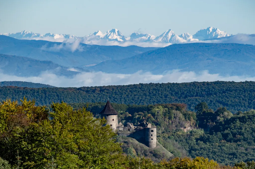 Forrás: MTI/Komka Péter