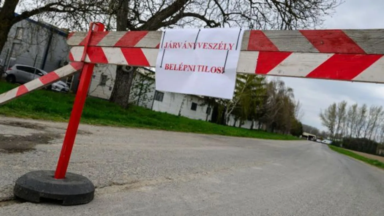 Ragadós száj- és körömfájás: Mesterségesen előállított vírus fertőz?