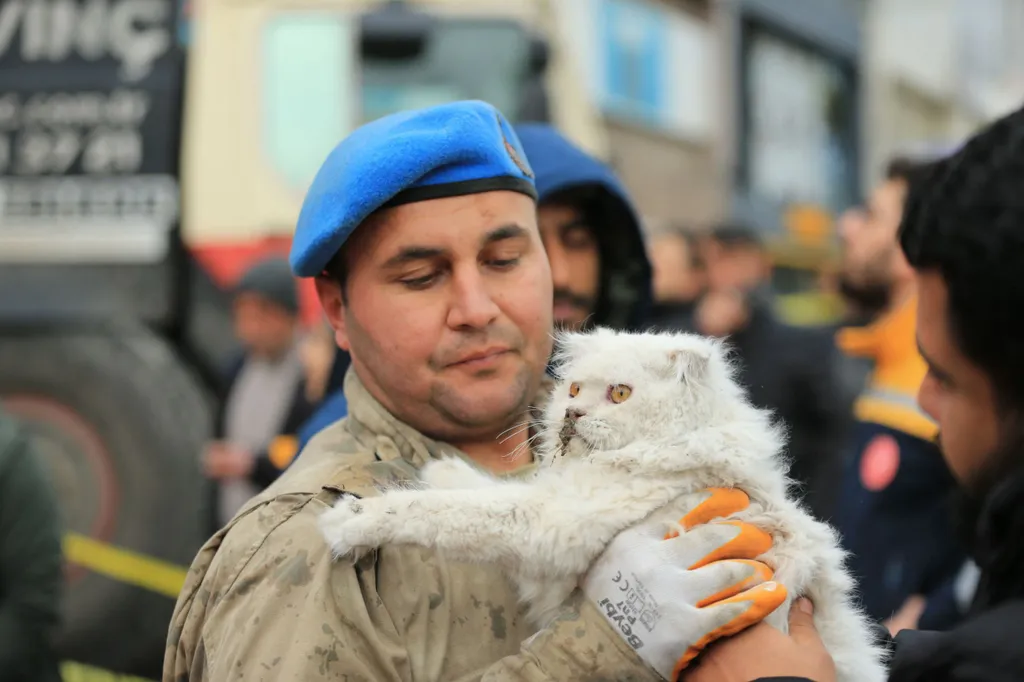 Forrás: Anadolu Agency via AFP/2023 Anadolu Agency/Aydin Arik