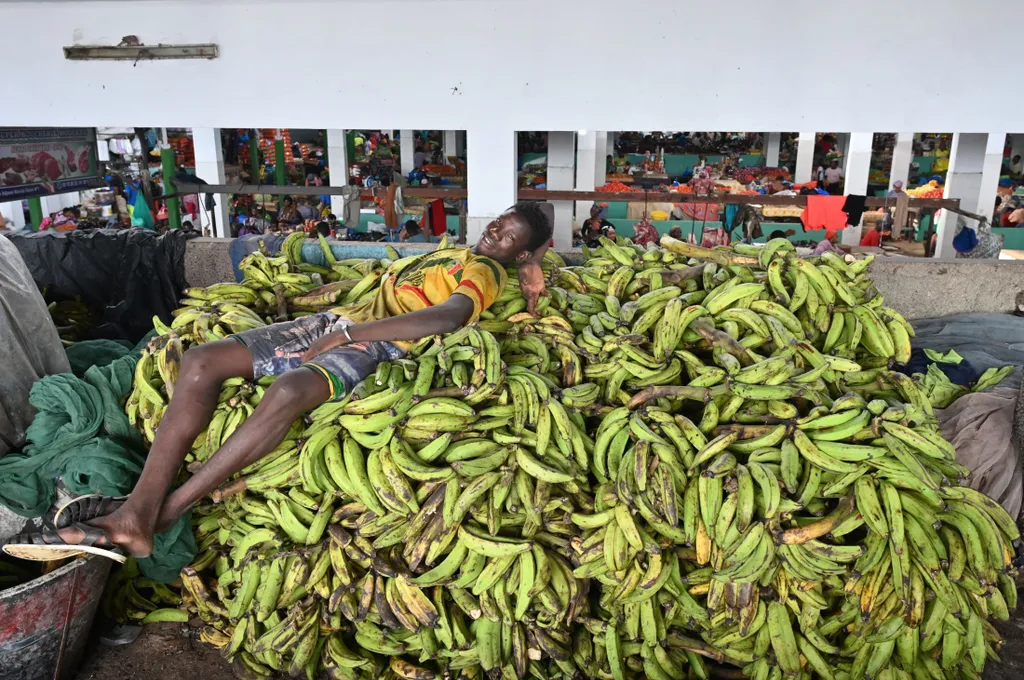 Forrás: AFP/Issouf Sanogo