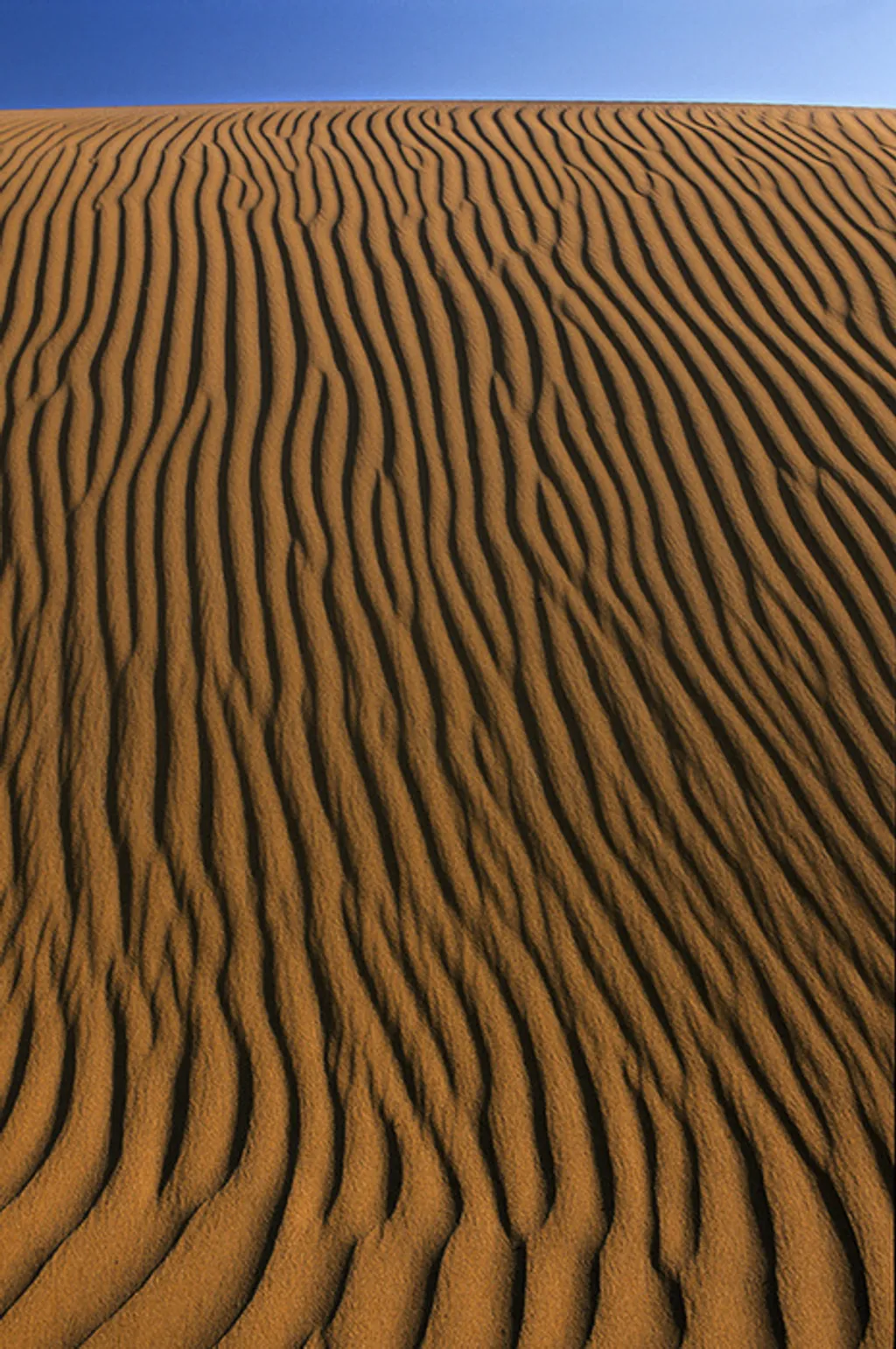 Sandro Santioli/solent News / Northfoto 