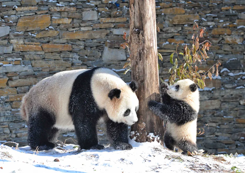 Forrás: Xinhua via AFP/Xinhua News Agency.All Rights Reserved/Liu Kun