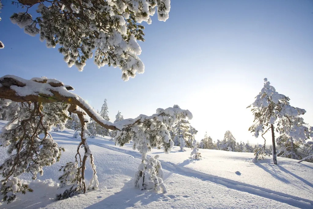 Fotó: Rovaniemi Tourism & Marketing Ltd. 
