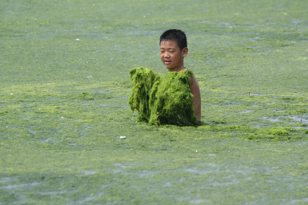 Xinhua / Eyevine / Northfoto 