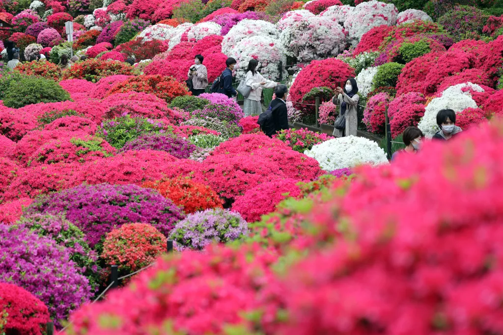 Forrás: The Yomiuri Shimbun via AFP/Yomiuri/Ryo Aoki
