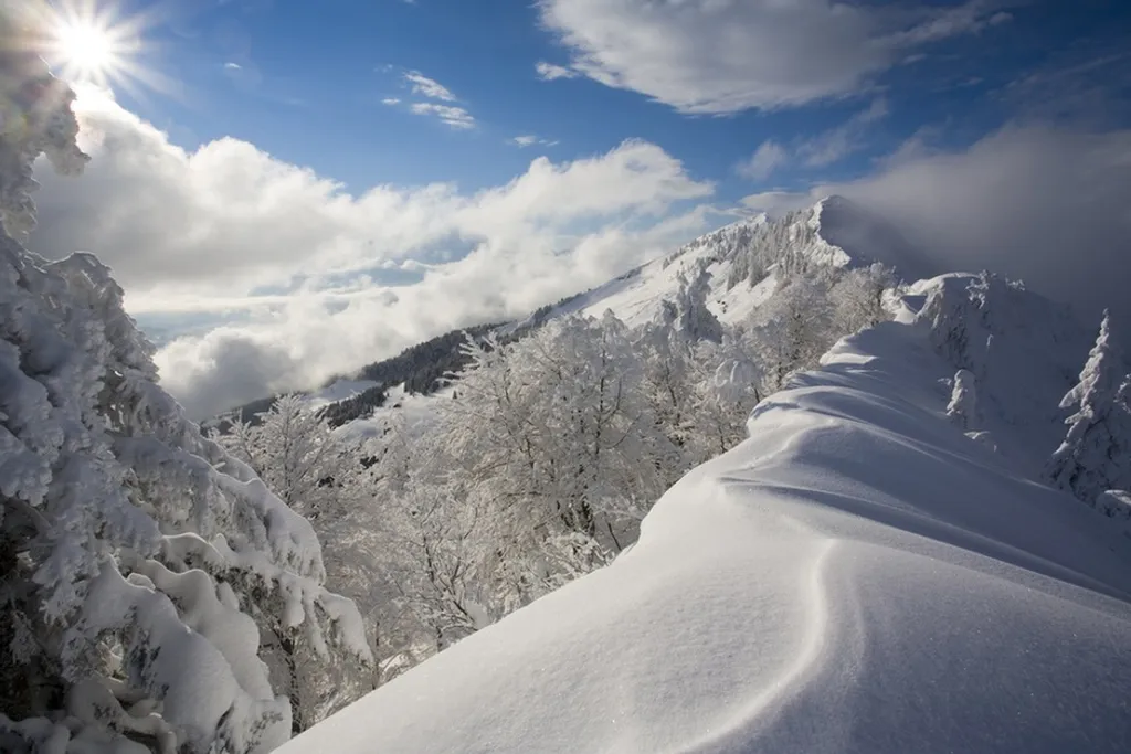 Fotó: Northfoto 