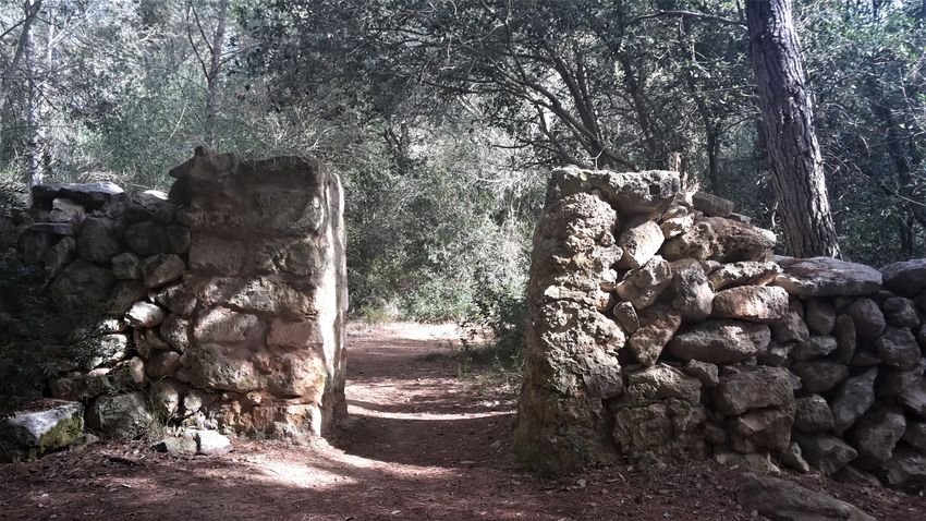Tegyen egy sétát velünk Menorca egyik legszebb túraútvonalán!