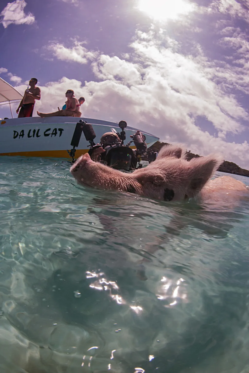 Fotó: Frogfish Photography / Barcroft / Northfoto 