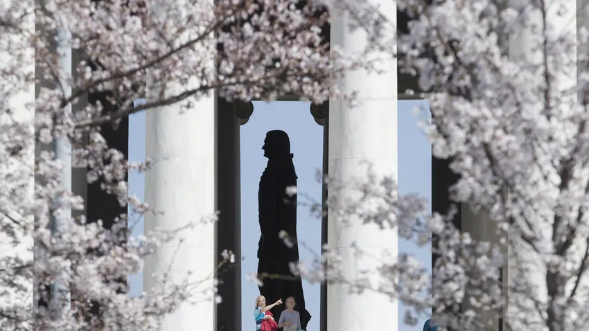Japán cseresznyevirágzás 2017