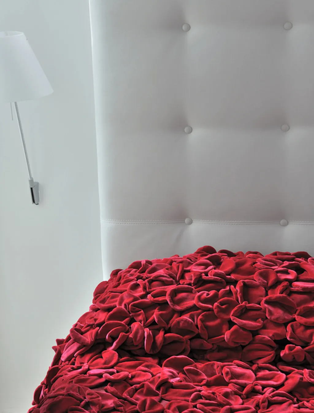 Fotó: Maison Moschino Milano 